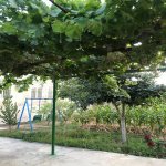 Kirayə (aylıq) 4 otaqlı Həyət evi/villa, Xəzər rayonu 26