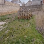 Satılır Torpaq, Saray, Abşeron rayonu 2