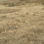 Продажа Участок, Новханы, Абшерон район 5