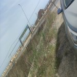 Satılır Torpaq, Novxanı, Abşeron rayonu 4