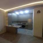 Kirayə (aylıq) 2 otaqlı Yeni Tikili, 28 May metrosu, Nərimanov rayonu 9