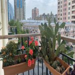 Satılır 2 otaqlı Köhnə Tikili, 28 May metrosu, Nəsimi rayonu 8
