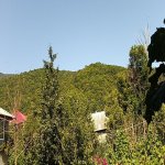 Kirayə (günlük) 4 otaqlı Bağ evi Qəbələ 4