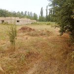 Satılır Torpaq Qusar 5