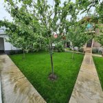Kirayə (günlük) 4 otaqlı Həyət evi/villa Qəbələ 17