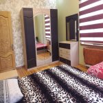 Kirayə (günlük) 5 otaqlı Həyət evi/villa Qəbələ 13