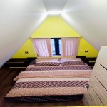 Kirayə (günlük) 2 otaqlı Bağ evi Lənkəran 7