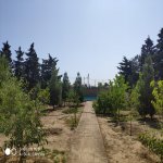 Kirayə (aylıq) 4 otaqlı Həyət evi/villa, Mərdəkan, Xəzər rayonu 13