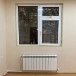 Kirayə (aylıq) 1 otaqlı Köhnə Tikili, Gənclik metrosu, Nəsimi rayonu 9