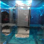 Satılır 2 otaqlı Yeni Tikili, Memar Əcəmi metrosu, 4-cü mikrorayon, Nəsimi rayonu 31