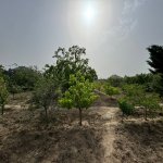 Satılır Torpaq, Şüvəlan, Xəzər rayonu 10