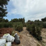 Satılır Torpaq, Buzovna, Xəzər rayonu 4