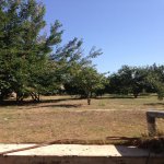 Satılır 8 otaqlı Bağ evi, Bilgəh qəs., Sabunçu rayonu 6