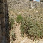 Satılır Torpaq, Mərdəkan, Xəzər rayonu 1
