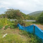Продажа Участок Гябяля 8