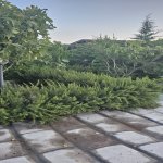 Посуточно 3 комнат Дача, Туркян, Хязяр район 27