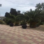 Kirayə (aylıq) 4 otaqlı Bağ evi, Şüvəlan, Xəzər rayonu 11
