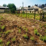 Satılır Torpaq, Hökməli, Abşeron rayonu 7