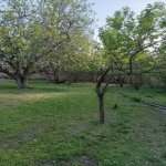 Satılır Torpaq İsmayıllı 8