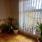 Kirayə (aylıq) 5 otaqlı Həyət evi/villa, Bakıxanov qəs., Sabunçu rayonu 11