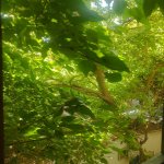 Kirayə (aylıq) 3 otaqlı Ofis, 28 May metrosu, Nəsimi rayonu 18