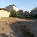 Satılır Torpaq, Zabrat qəs., Sabunçu rayonu 2