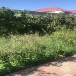 Kirayə (aylıq) 4 otaqlı Həyət evi/villa, Mərdəkan, Xəzər rayonu 31