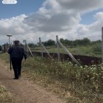 Satılır Torpaq Şamaxı 4