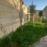 Kirayə (günlük) 5 otaqlı Həyət evi/villa, Novxanı, Abşeron rayonu 5