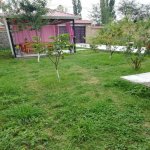 Kirayə (günlük) 4 otaqlı Həyət evi/villa Qəbələ 8