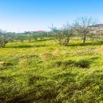 Satılır Torpaq, Novxanı, Abşeron rayonu 2