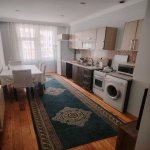 Kirayə (aylıq) 1 otaqlı Yeni Tikili, Memar Əcəmi metrosu, 3-cü mikrorayon, Nəsimi rayonu 11