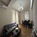 Kirayə (aylıq) 2 otaqlı Yeni Tikili, 28 May metrosu, Nəsimi rayonu 3