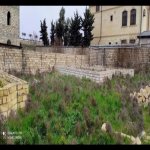 Satılır Torpaq, Mərdəkan, Botanika bağı, Xəzər rayonu 5