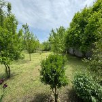 Satılır Torpaq İsmayıllı 4