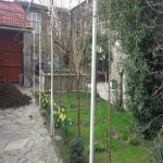 Kirayə (günlük) 3 otaqlı Həyət evi/villa Şəki 11