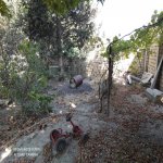 Kirayə (aylıq) 5 otaqlı Həyət evi/villa, Biləcəri qəs., Binəqədi rayonu 25