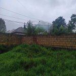 Satılır Torpaq Qəbələ 3