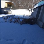 Посуточно 4 комнатная Дома/Виллы Гах 5