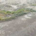 Satılır Torpaq, Digah, Abşeron rayonu 2