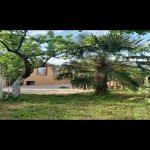 Kirayə (günlük) 3 otaqlı Həyət evi/villa İsmayıllı 13