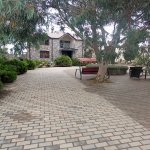 Kirayə (günlük) 5 otaqlı Bağ evi, Türkan, Xəzər rayonu 6