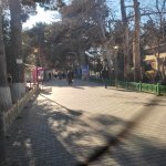 Kirayə (aylıq) Obyekt Xırdalan 8