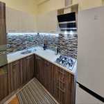 Kirayə (aylıq) 3 otaqlı Yeni Tikili, Nəriman Nərimanov metrosu, Nərimanov rayonu 14