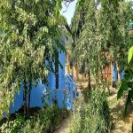 Kirayə (günlük) 4 otaqlı Həyət evi/villa Qəbələ 16