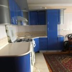 Kirayə (aylıq) 3 otaqlı Köhnə Tikili, Nəriman Nərimanov metrosu, Nərimanov rayonu 13