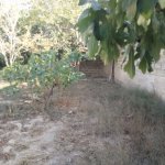 Satılır Torpaq, Buzovna, Xəzər rayonu 20