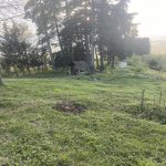 Satılır 4 otaqlı Bağ evi Astara 4