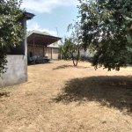 Satılır Torpaq Qəbələ 3