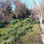 Satılır Torpaq, Nəsimi metrosu, Binəqədi rayonu 4